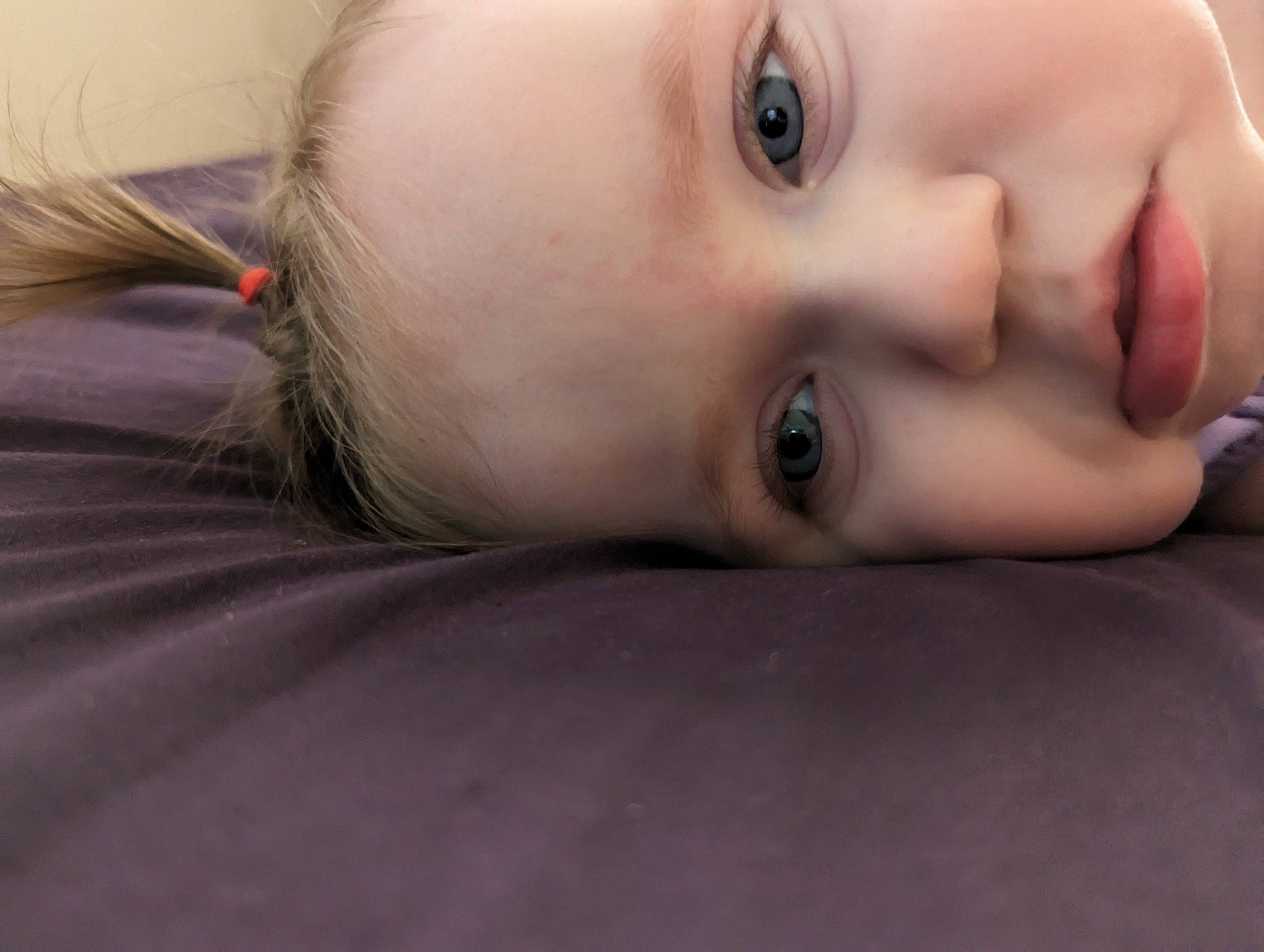 Daisy joined the competition — help win amazing prizes! cheek, chin, ear, eye, eyebrow, eyelash, face, flash_photography, forehead, happy, head, human_body, iris, jaw, lip, mouth, neck, nose, person, skin