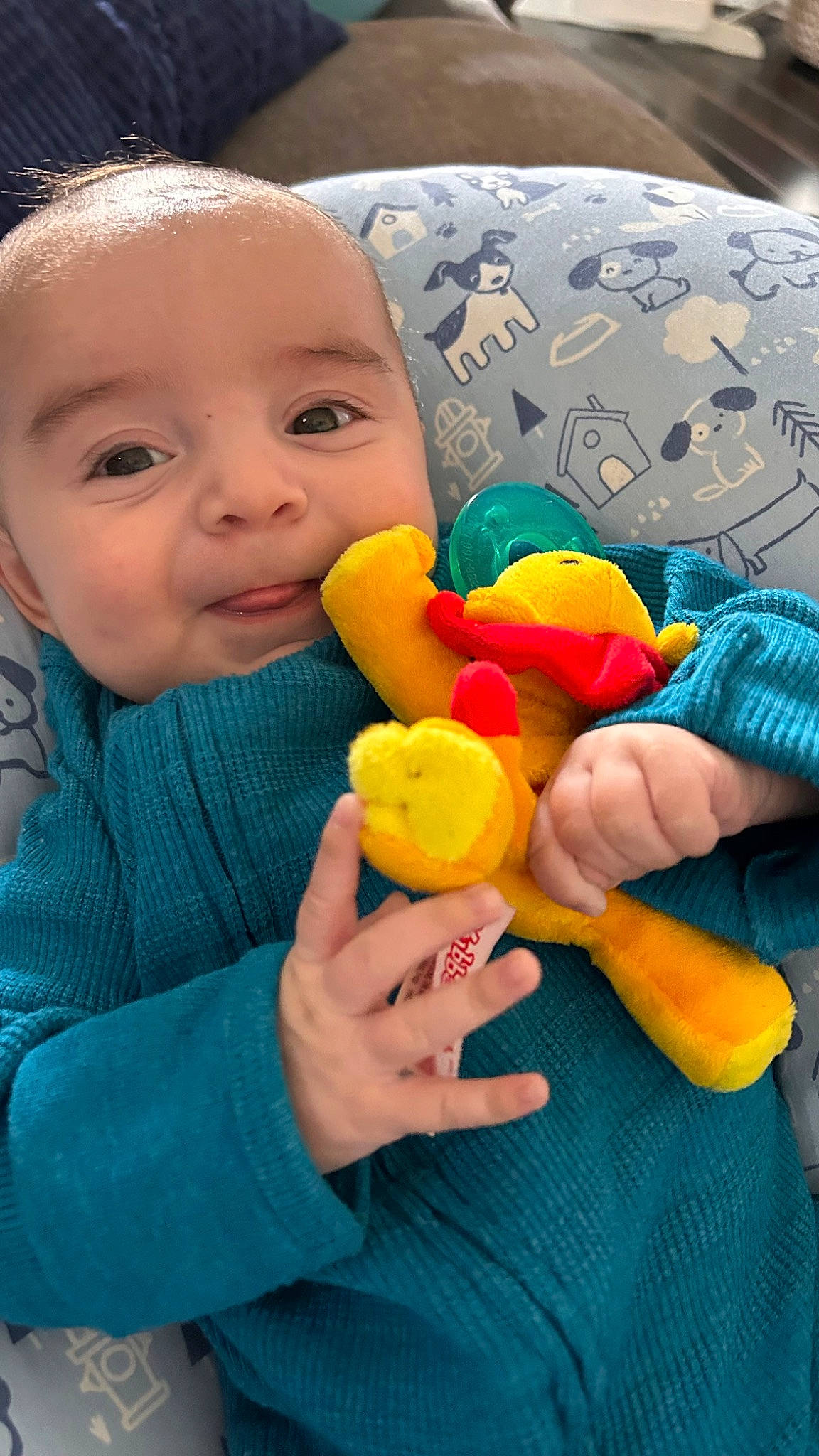 Niko joined the competition — help win amazing prizes! baby, baby_playing_with_toys, baby_toddler_clothing, child, comfort_food, finger, fruit, fun, gesture, hand, happy, musical_instrument, nail, nose, person, plant, play, stuffed_toy, sweetness, toddler