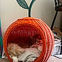 animal, apple_shape, blanket, carpet, cat, cozy, curious, cute, feline, furniture, green_leaf, home, indoor, orange, orange_cat, pet, relaxed, resting, soft, wicker_basket