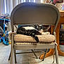 cat, chair, cozy, cushion, domestic, floor, folding_chair, furniture, home, indoor, pet, quiet, relaxation, resting, sleeping, striped_cat, tabby_cat, table, vertical_blinds, window