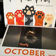 Floofy joined the competition — help win amazing prizes! calendar, dog, cartoon, paw_print, spiral_binding, text, october, 2025, pet, animal, illustration, photograph, table, paper, cover, dark_background, cute, small_dog, floofy, decor