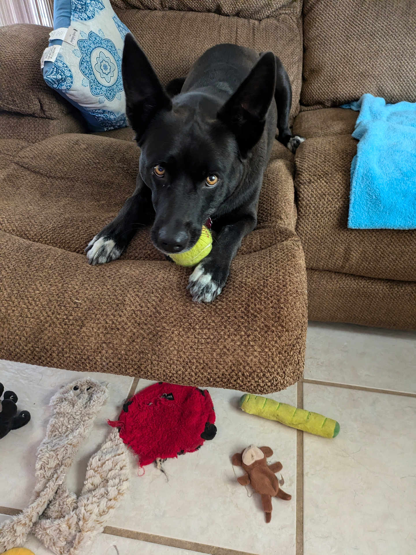 Bella
