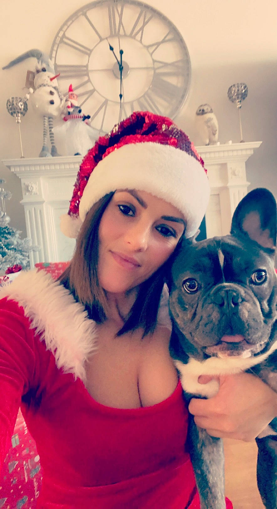 Boss is registered to the contest to win money with this photo: bulldog, carnivore, christmas, christmas_decoration, christmas_eve, christmas_ornament, costume_accessory, costume_hat, dog, dog_breed, fawn, french_bulldog, fur, holiday, interior_design, mammal, snout, toy_dog, vertebrate, working_animal