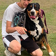 Tess participe au concours pour gagner de l'argent avec cette photo : animal, casual_clothing, companionship, daytime, dog, friendship, grass, happy, kneeling, leash, nature, outdoor, pet, rocks, shorts, smile, sneakers, tongue_out, tshirt, young_man