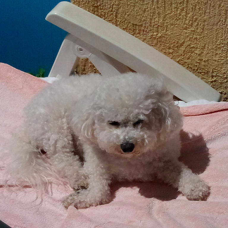 Hanjie