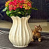 cat, tabby_cat, vase, flowers, pink_flowers, green_leaves, indoor, rug, striped_rug, floor, plant, pottery, pet, animal, relaxing, feline, decor, still_life, calm, houseplant