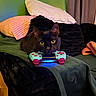 black_cat, cat, yellow_eyes, video_game_controller, couch, pillows, green_wall, blanket, indoor, pet, relaxed, cozy, feline, electronics, gaming, home, comfort, curtains, resting, close_up