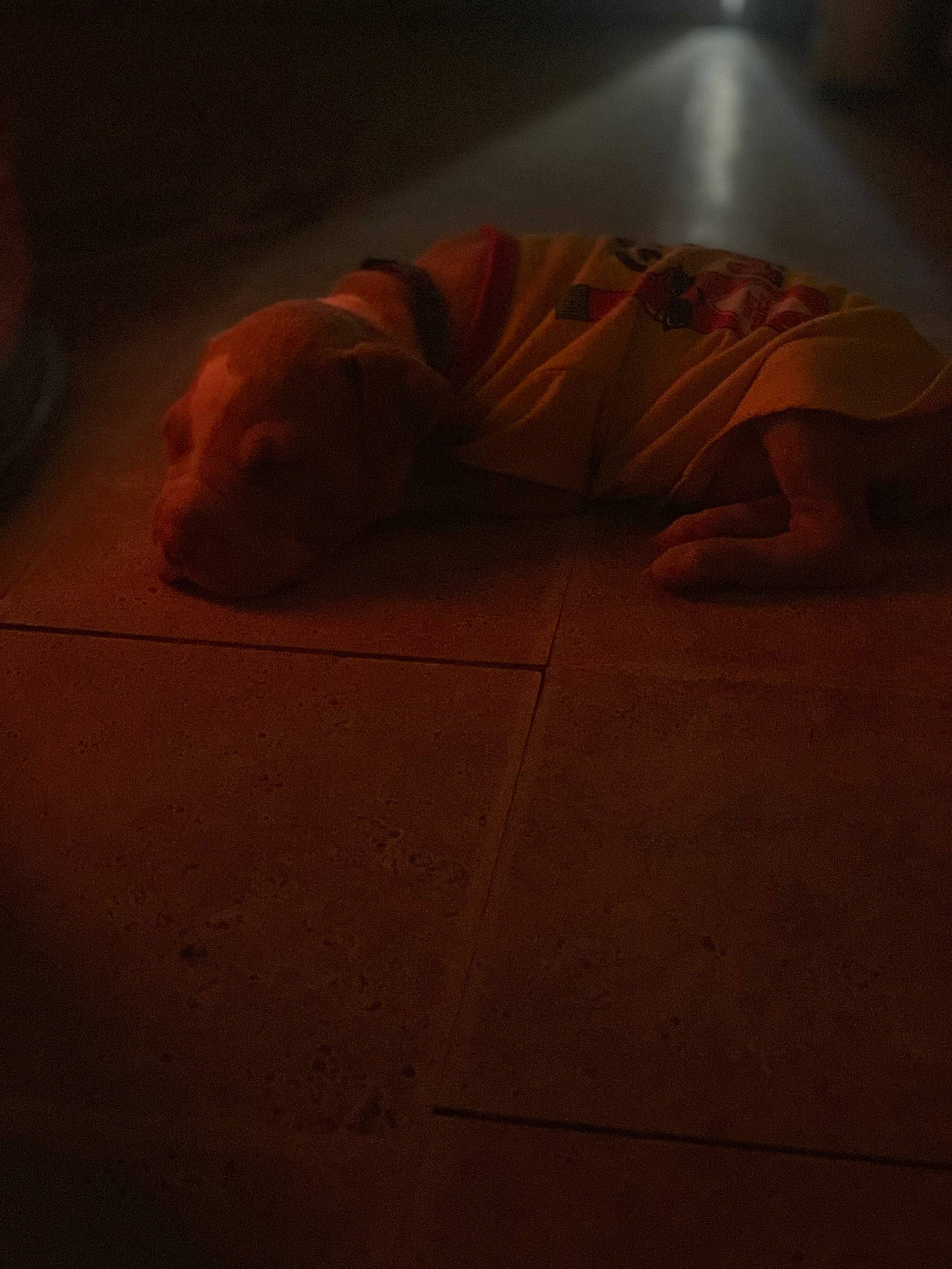 Mazikeen Lilith is registered to the contest to win money with this photo: carnivore, comfort, companion_dog, crawling, darkness, dog, dog_breed, floor, flooring, hardwood, human_leg, landscape, linens, road_surface, room, shadow, sitting, tints_and_shades, wood, wood_flooring