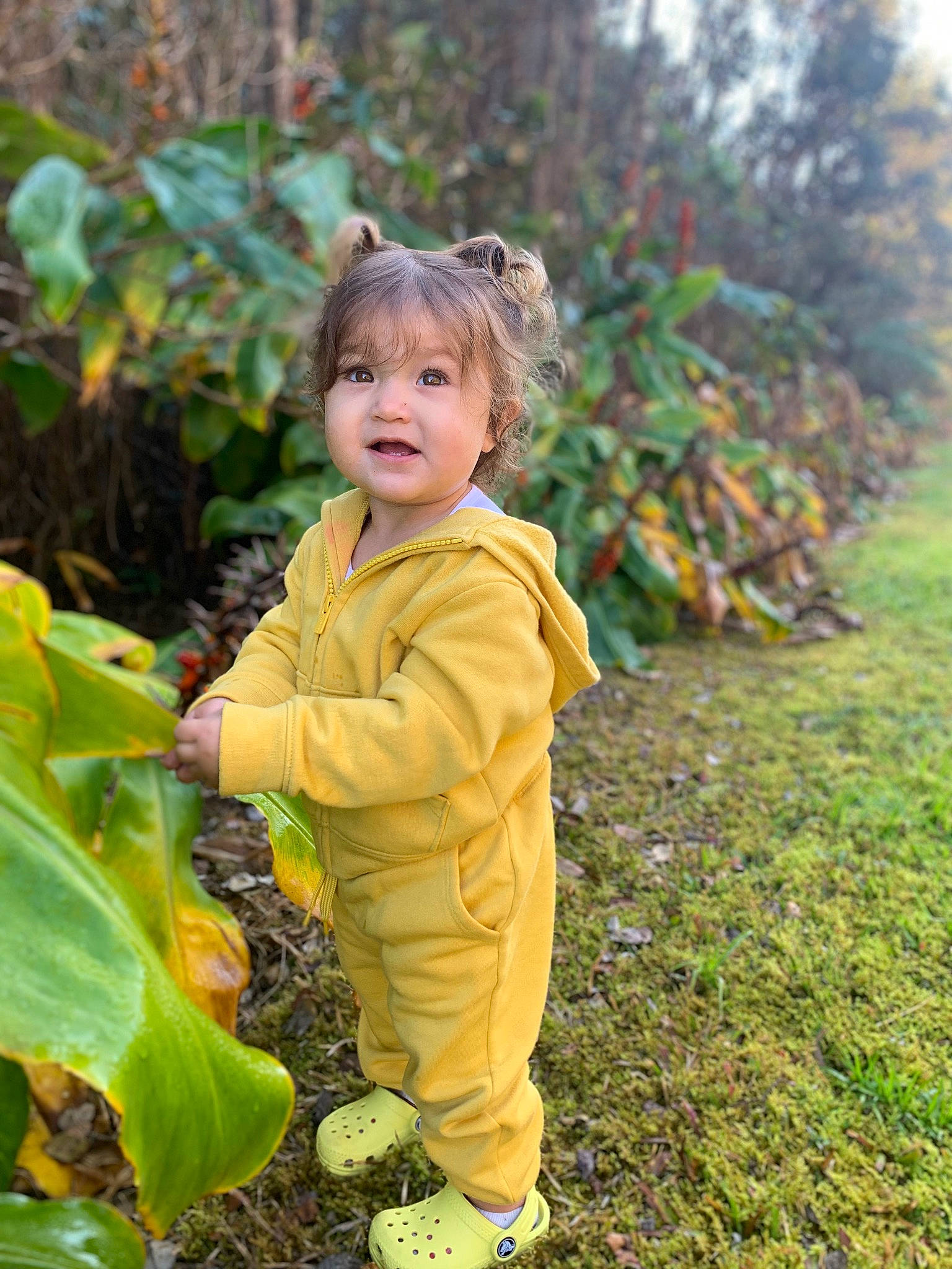 Tatum Jean joined the competition — help win amazing prizes! autumn, baby, baby_toddler_clothing, child, forest, garden, grass, grassland, happy, jacket, landscape, leaf_vegetable, natural_landscape, people_in_nature, person, plant, soil, terrestrial_plant, toddler, tree