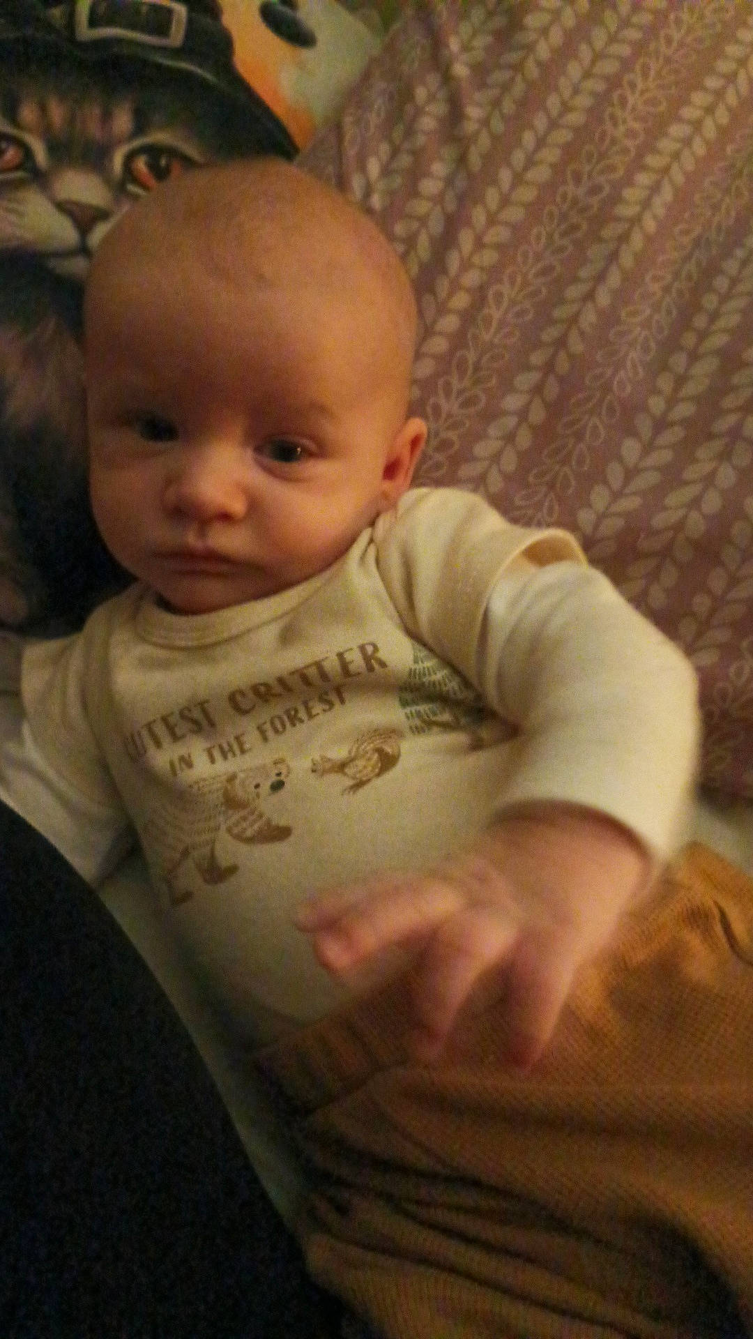 baby, blanket, cat_illustration, child, clothing, cute, expression, fabric, face, hand, home, indoor, infant, infant_clothing, lying_down, onesie, pattern, pillow, portrait, soft_lighting