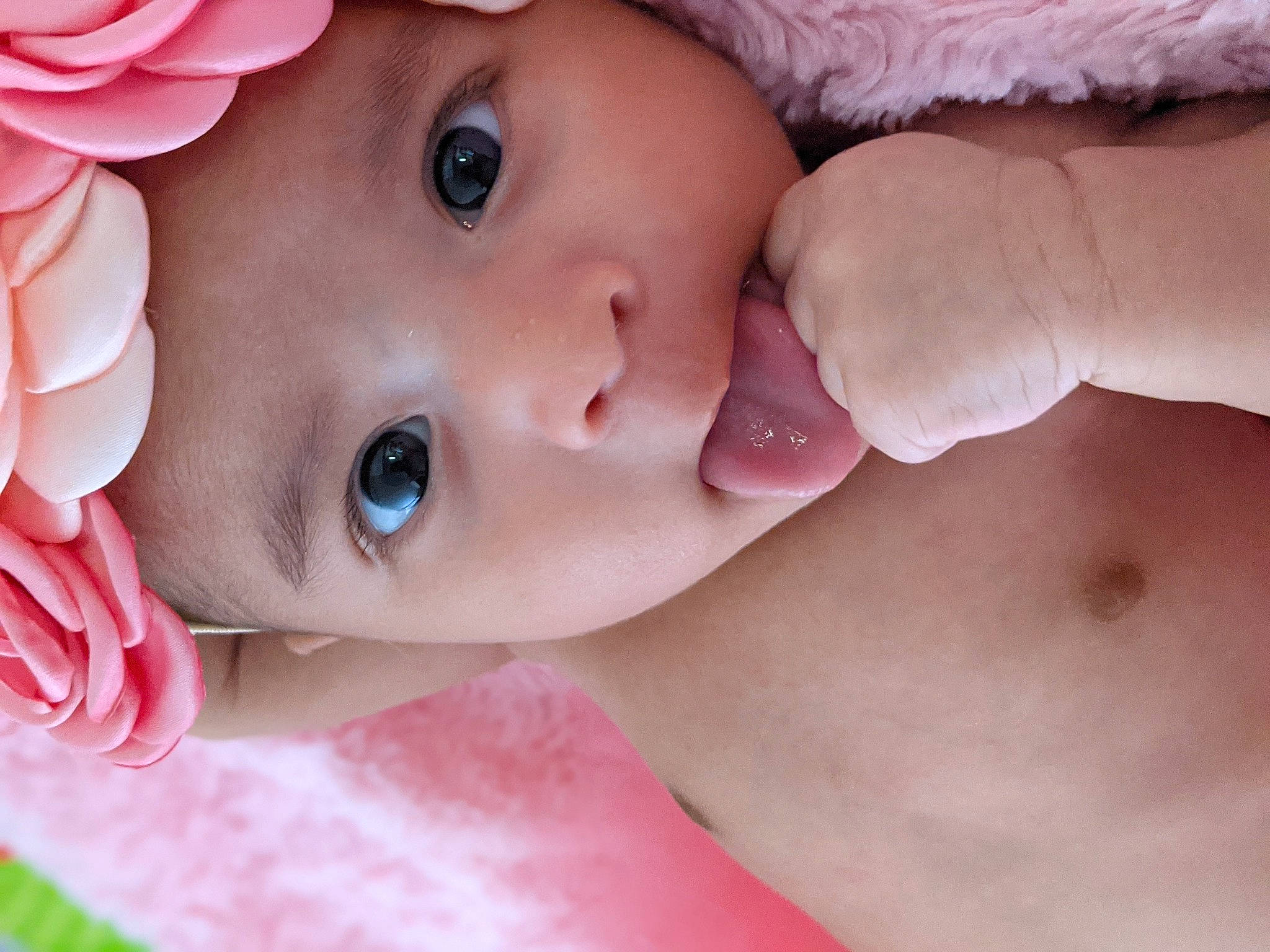 Talia is registered to the contest to win money with this photo: baby, beauty, cheek, child, chin, close_up, eye, eyebrow, eyelash, face, hand, head, headwear, lip, mouth, muscle, nose, person, photography, pink