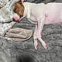 Daisy joined the competition — help win amazing prizes! bed, blanket, brown_patch, close_up, cozy, dog, domestic_animal, fur_texture, indoor, muzzle, paw, paws_together, pet, pink_nose, plush_blanket, relaxed, sleeping_dog, sleeping_pose, snout, white_fur