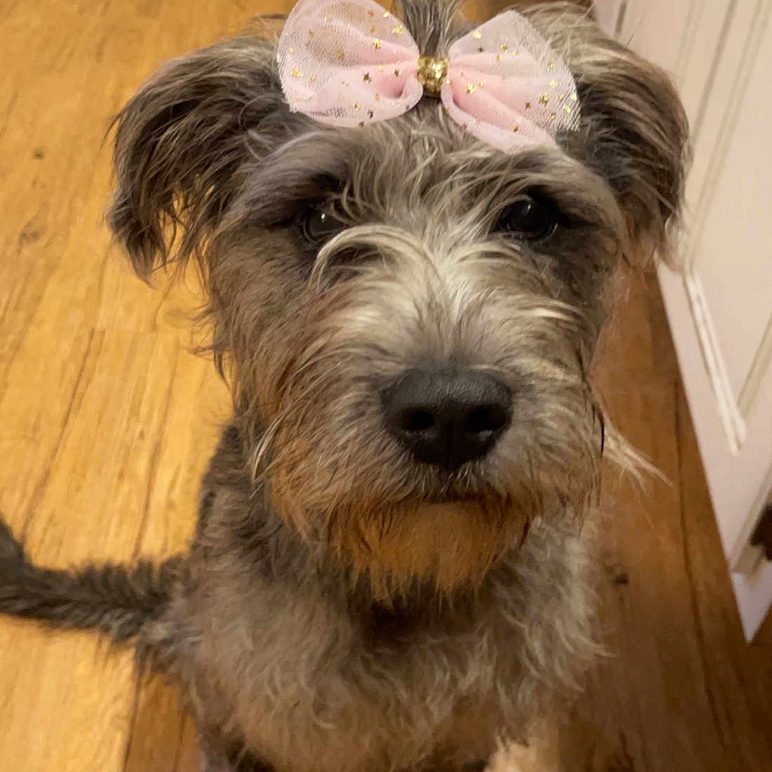 Remi