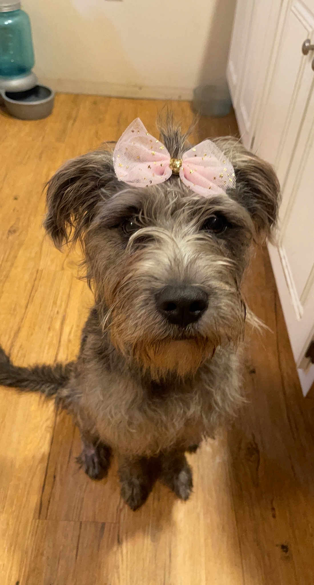 Remi
