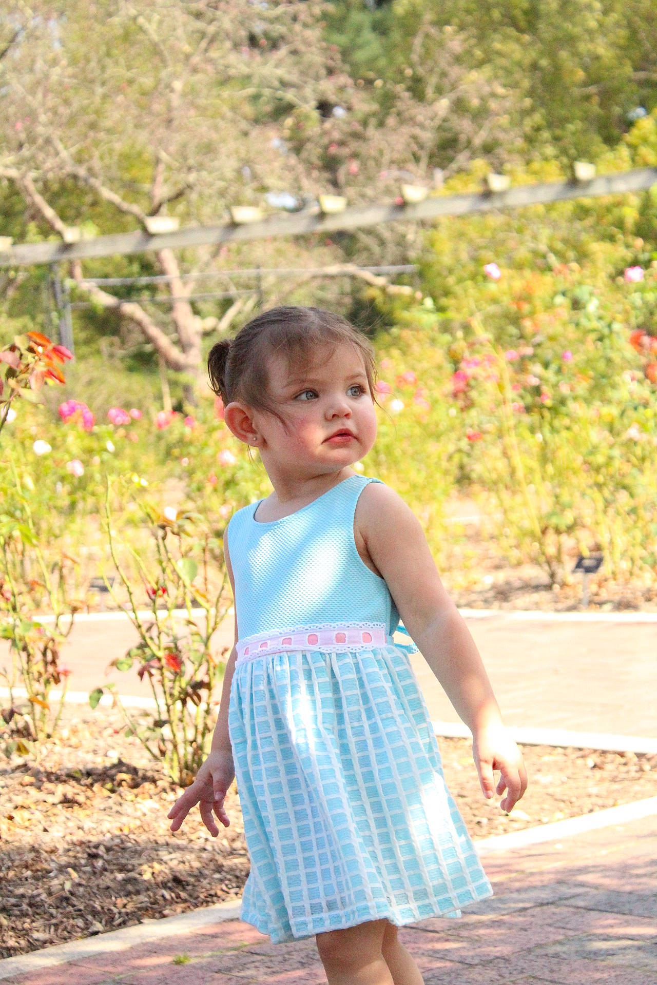 Audriana is registered to the contest to win money with this photo: child, child_model, dress, fawn, pattern, person, photograph, photography, pink, plant, smile, standing, summer, toddler, tree, turquoise, vacation