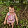 Madysin