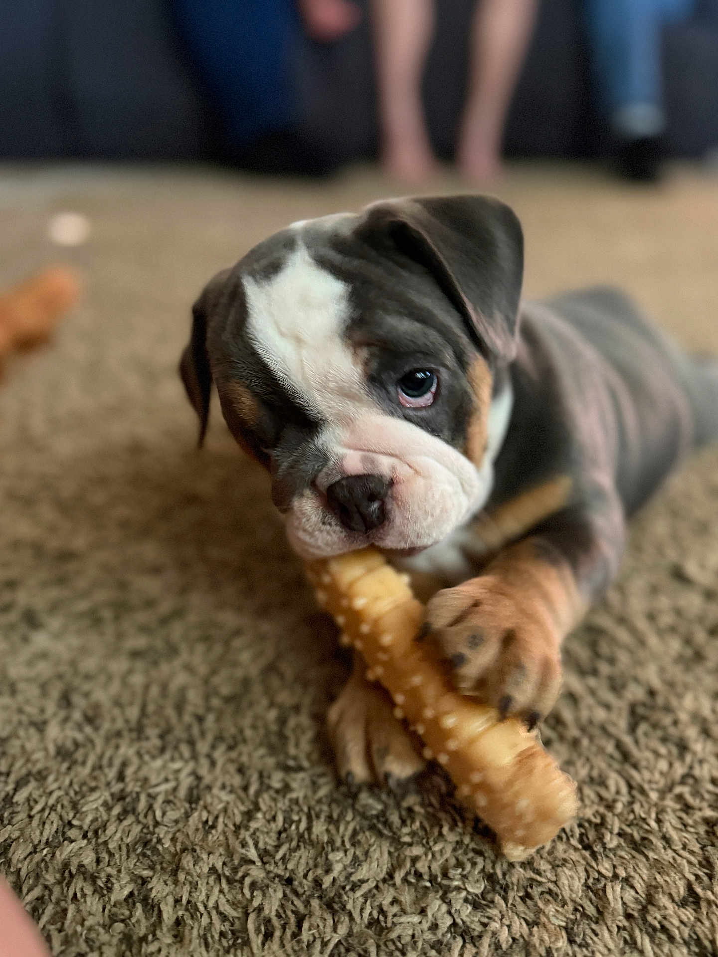 Matilda
