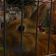 Caramel participe au concours pour gagner de l'argent avec cette photo :