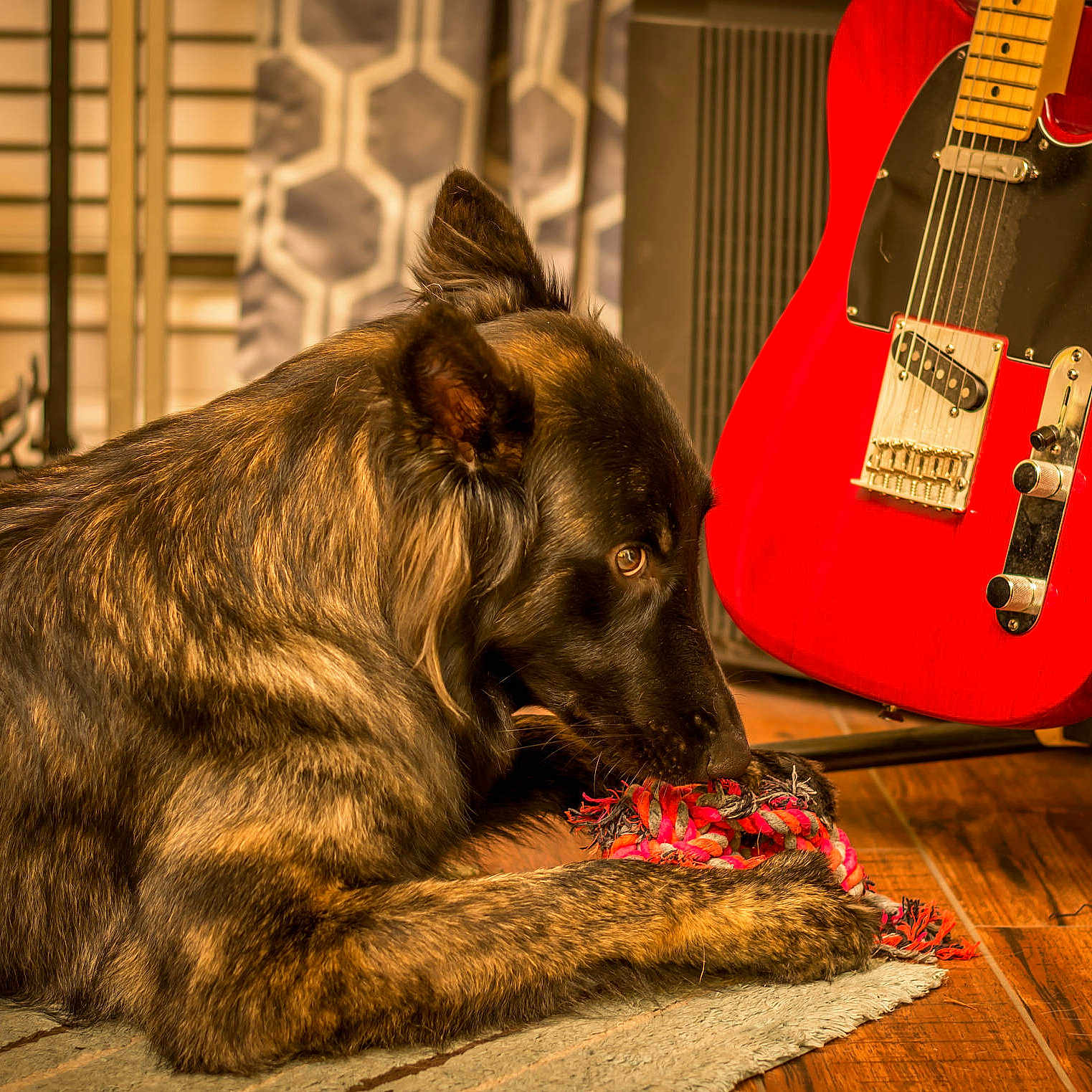 Susan Fultz is registered to the contest to win money with this photo: