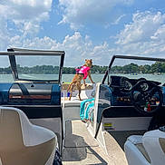 Henny joined the competition — help win amazing prizes! adventure, animal, boat, canine, clouds, dashboard, dog, lake, life_jacket, nature, outdoor, pet, recreation, sky, steering_wheel, summer, towel, vacation, water, white_seat