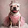 Princesa