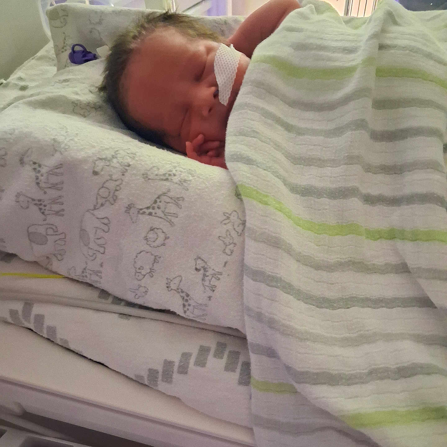 Maverick Gross-Davis joined the competition — help win amazing prizes! newborn, baby, hospital, crib, blanket, sleeping, nasal_tube, bedding, animal_print, striped_blanket, infant, medical, peaceful, child, bed, indoors, healthcare, cute, resting, soft