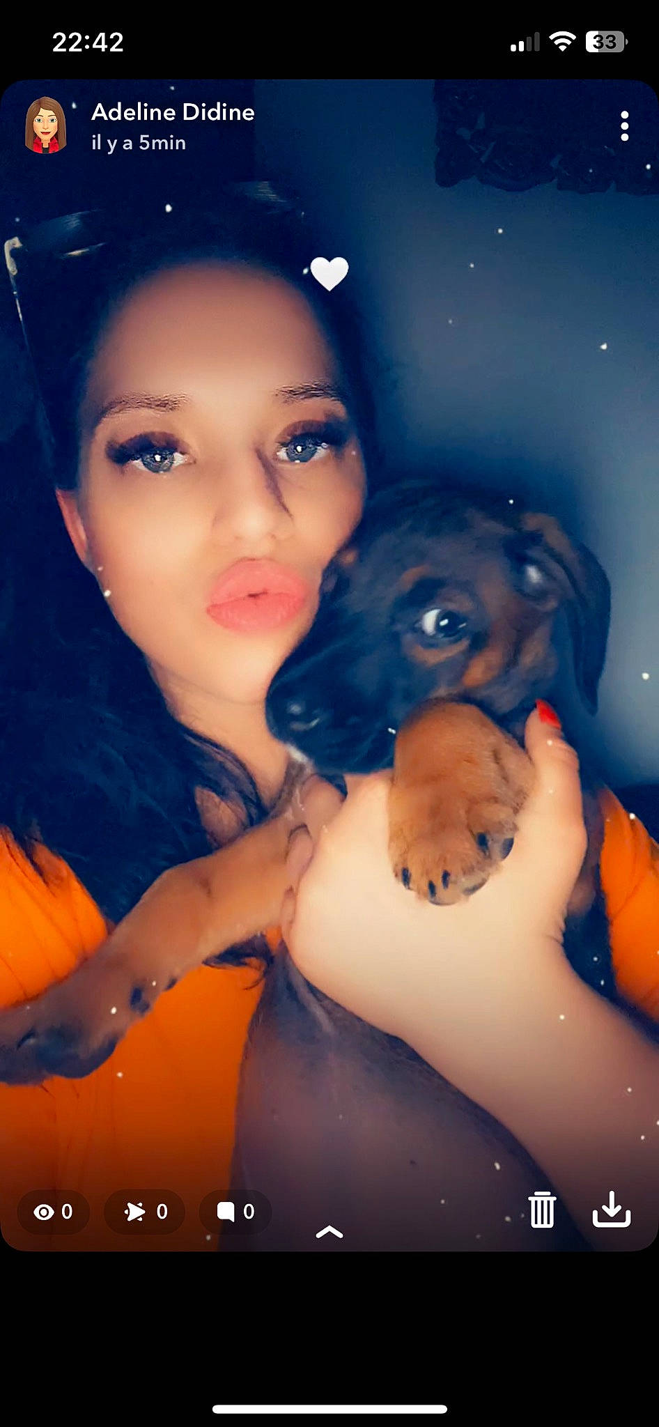 Nala participe au concours pour gagner de l'argent avec cette photo : art, azure, black_hair, carnivore, cg_artwork, companion_dog, cool, dog, dog_breed, electric_blue, eyelash, flash_photography, fun, gesture, happy, illustration, lip, long_hair, mouth, working_animal