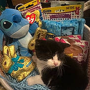 Oreo is registered to the contest to win money with this photo: kitten, black_and_white_cat, basket, cat_toys, plush_toy, stuffed_animal, chocolate_bunny, foil_wrapping, blue_shredded_paper, toy_packaging, indoor, sleeping, pet, cute, small_cat, feline, soft_toys, easter_theme, stuffed_character, closeup