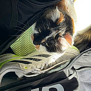 Perle participe au concours pour gagner de l'argent avec cette photo :