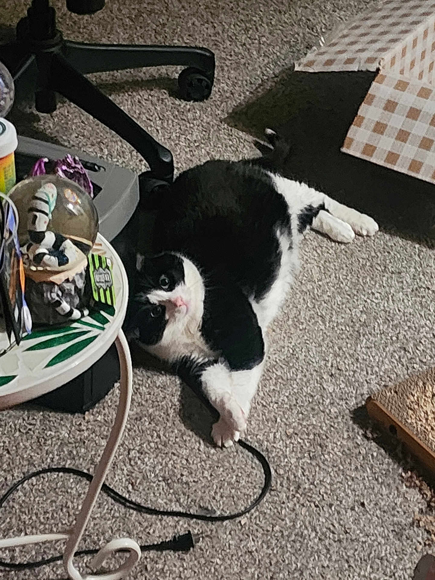 Gizmo
