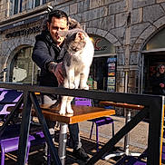 Lina a rejoint le concours — aidez-le/la à gagner de superbes lots ! animal, building, cat, chair, cigarette, daylight, man, outdoor, person, pet, purple_chair, sidewalk, smoking, stone_wall, street, sunlight, table, tattoo, urban, window