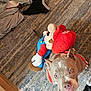 Genie joined the competition — help win amazing prizes! dog, pitbull, plush_toy, mario, carpet, indoor, blue_eyes, red_harness, looking_up, stuffed_animal, floor, clothes, fabric, toy, pet, animal, cute, playful, home, cozy
