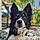 Ralf
