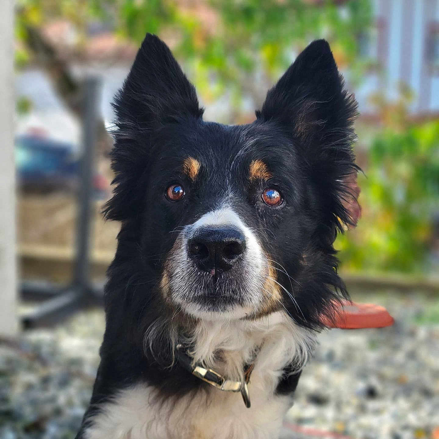 Ralf