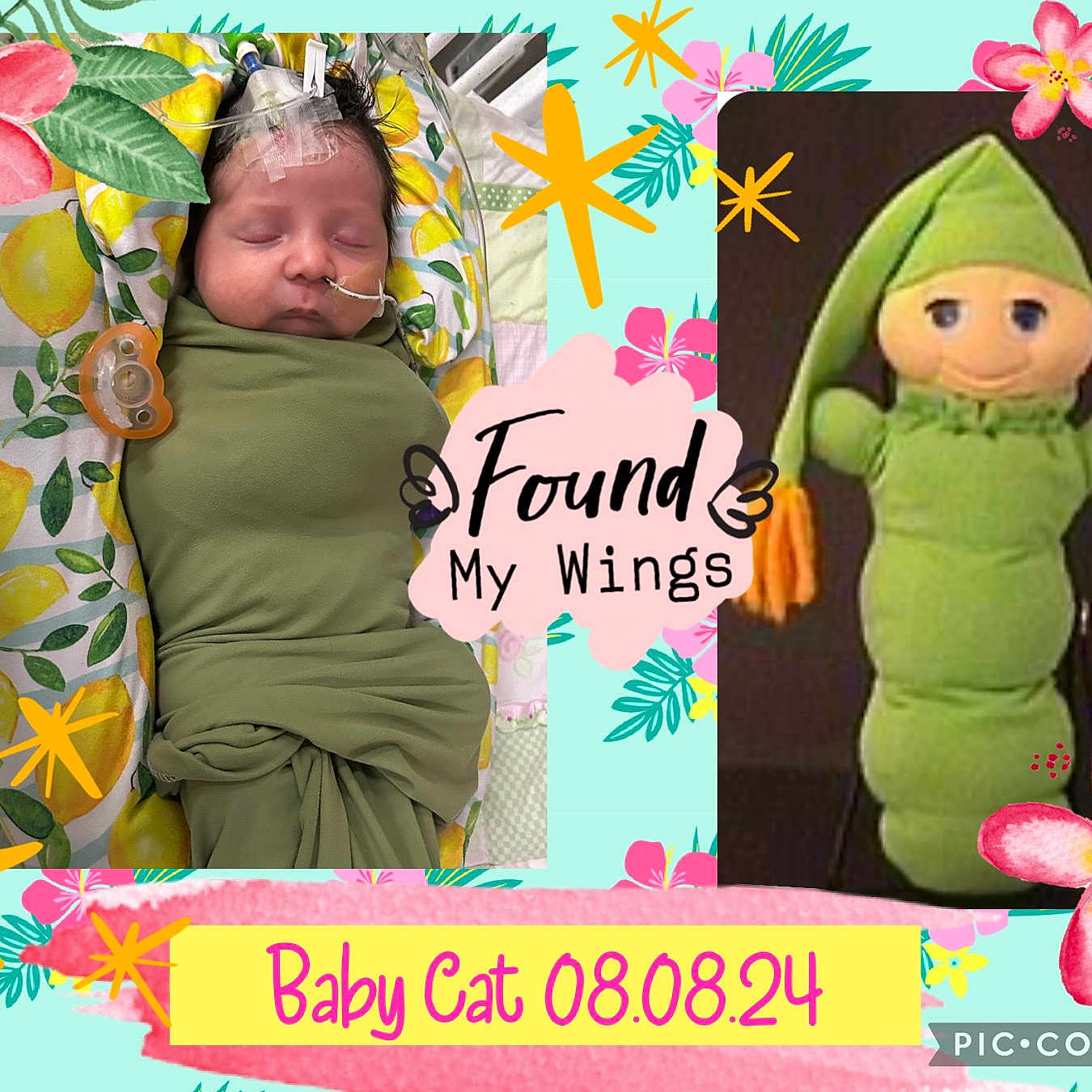 Catherine is registered to the contest to win money with this photo: art, baby, clothing, collage, envelope, face, flower, greetingcard, hat, head, mail, newborn, people, person, photography, plant, plush, portrait, purple, toy