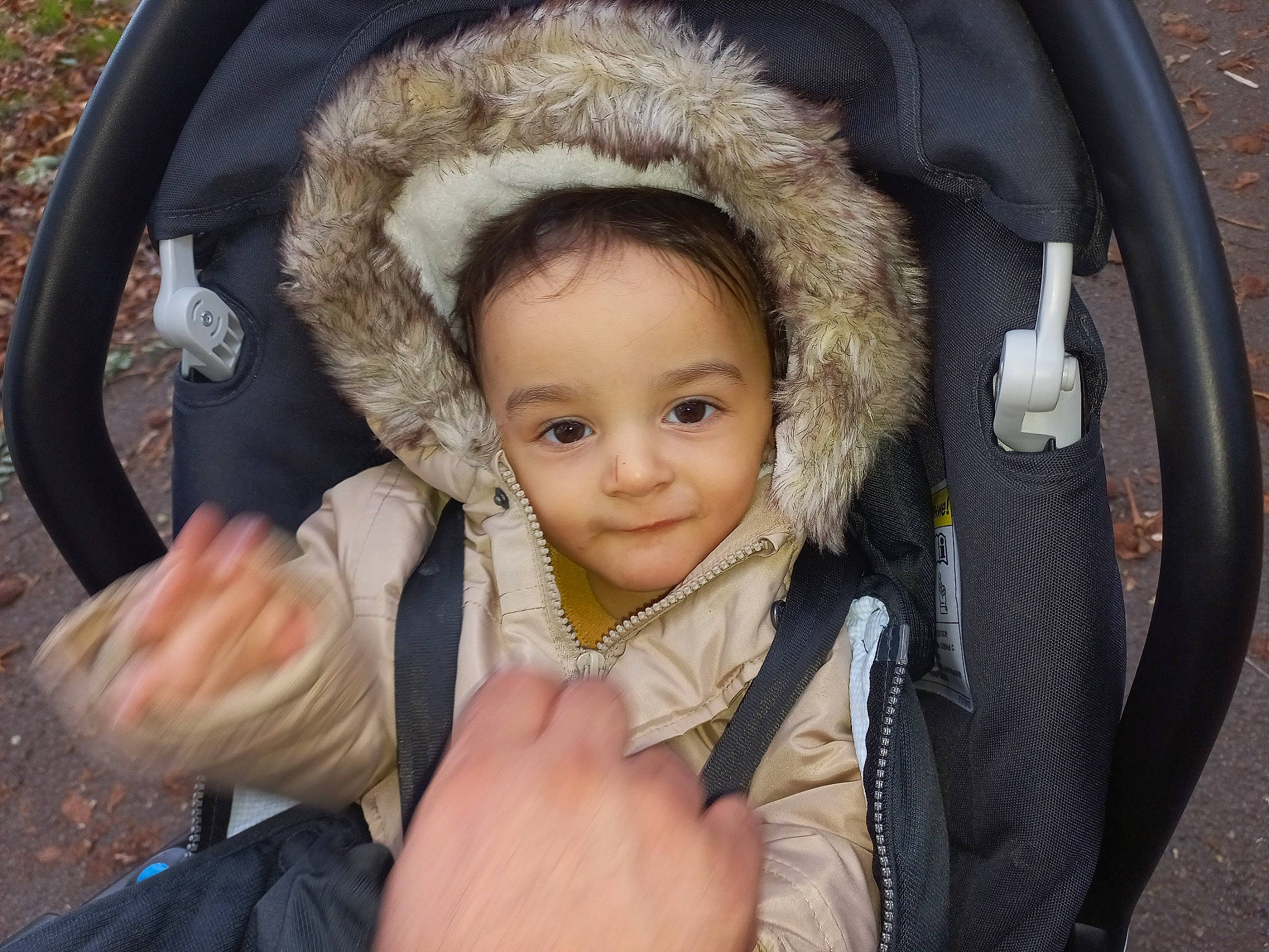 Eyden participe au concours pour gagner de l'argent avec cette photo : baby_carriage, cheek, comfort, eye, eyebrow, flash_photography, gesture, hand, happy, head, human, iris, joy, nose, organ, person, plant, product, skin, smile
