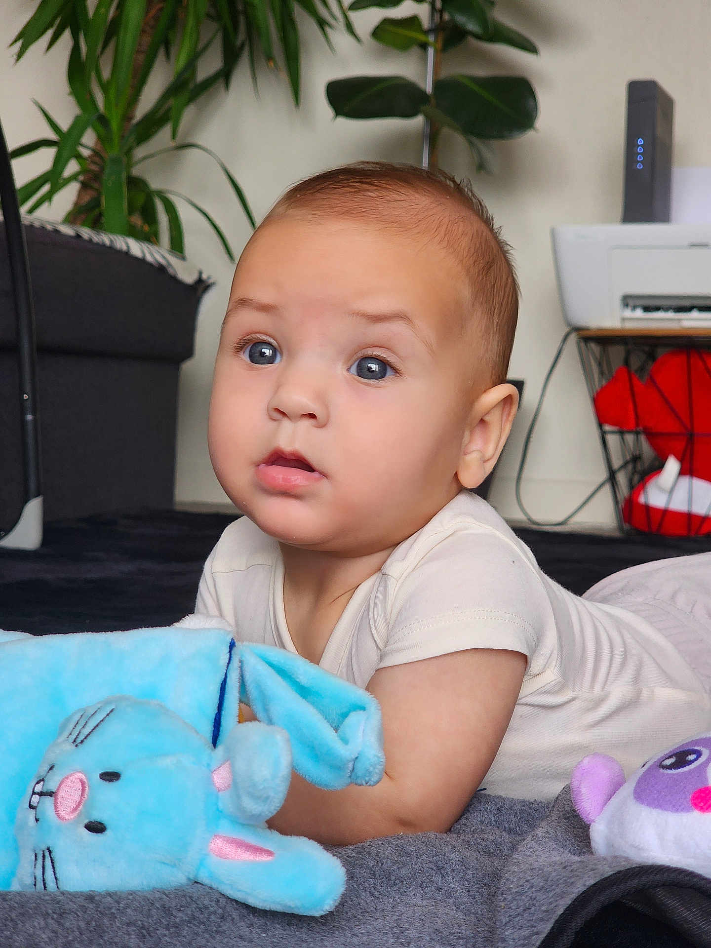 Sarah participe au concours pour gagner de l'argent avec cette photo : baby, child, infant, plush_toy, blue_bunny, blanket, laying_down, indoors, curious, soft_toy, toddler, face, expression, couch, home, cute, person, young_child, white_clothing, floor