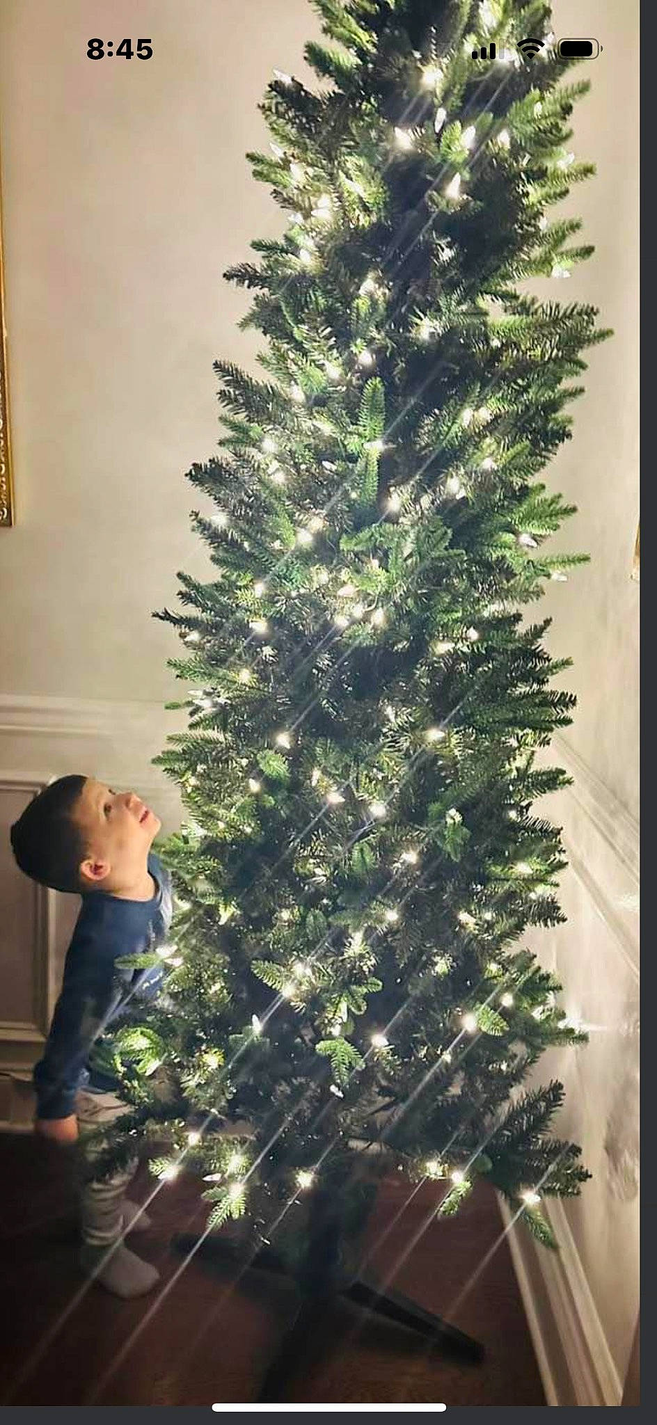 Julius is registered to the contest to win money with this photo: branch, christmas, christmas_decoration, christmas_eve, christmas_ornament, christmas_tree, conifer, event, evergreen, hat, holiday, holiday_ornament, interior_design, larch, ornament, person, plant, tree, twig, winter