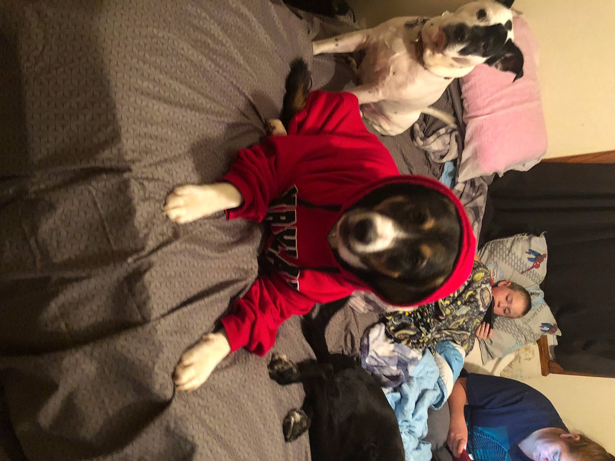 Maximus is registered to the contest to win money with this photo: animation, costume, cowboy_hat, entertainment, event, fictional_character, fun, fur, hat, musician, performance, performing_arts, room, sun_hat, tradition