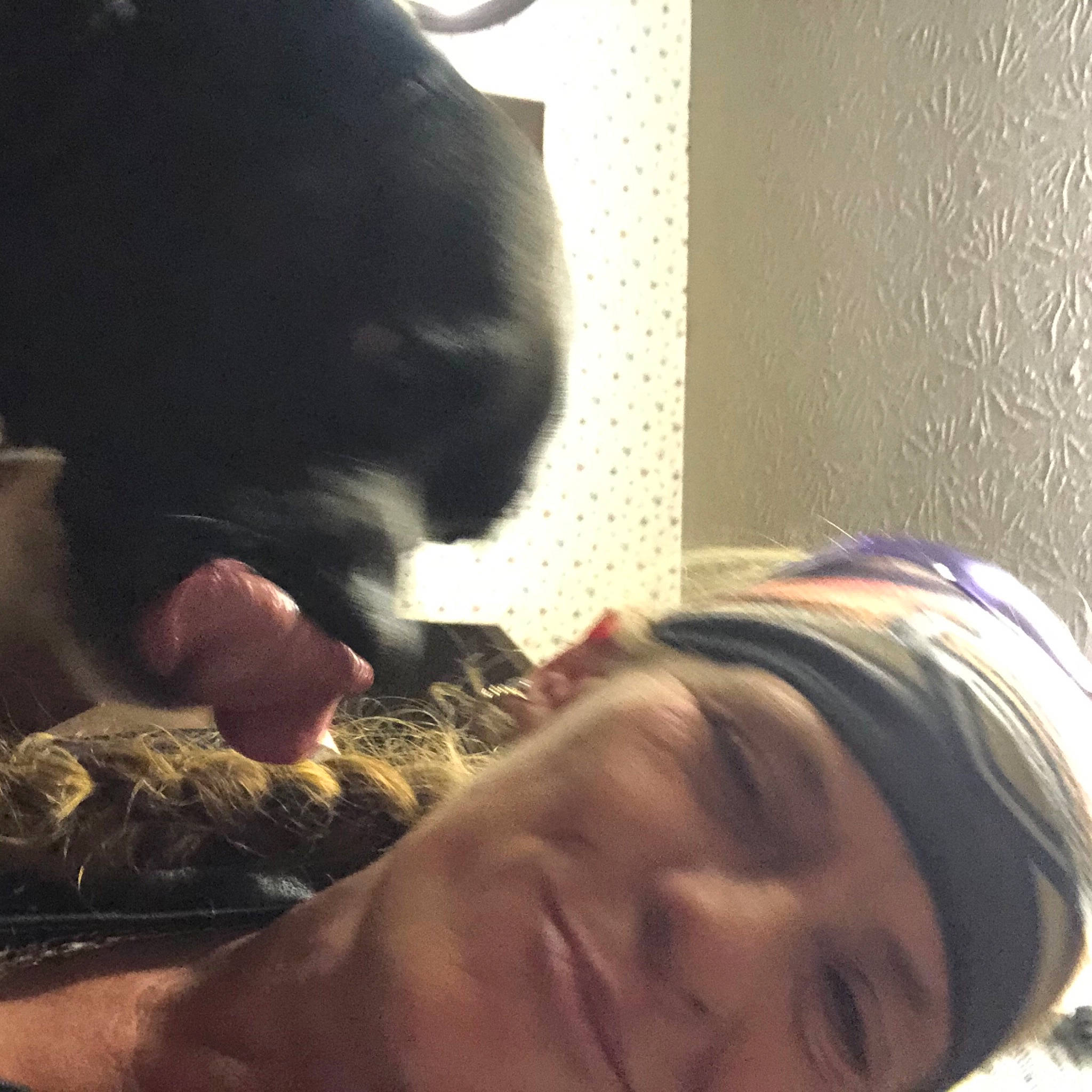 Bash is registered to the contest to win money with this photo: cat, child, comfort, companion_dog, dog_breed, ear, felidae, flesh, fun, fur, gesture, happy, jaw, mouth, nap, nose, selfie, small_to_medium_sized_cats, smile, whiskers