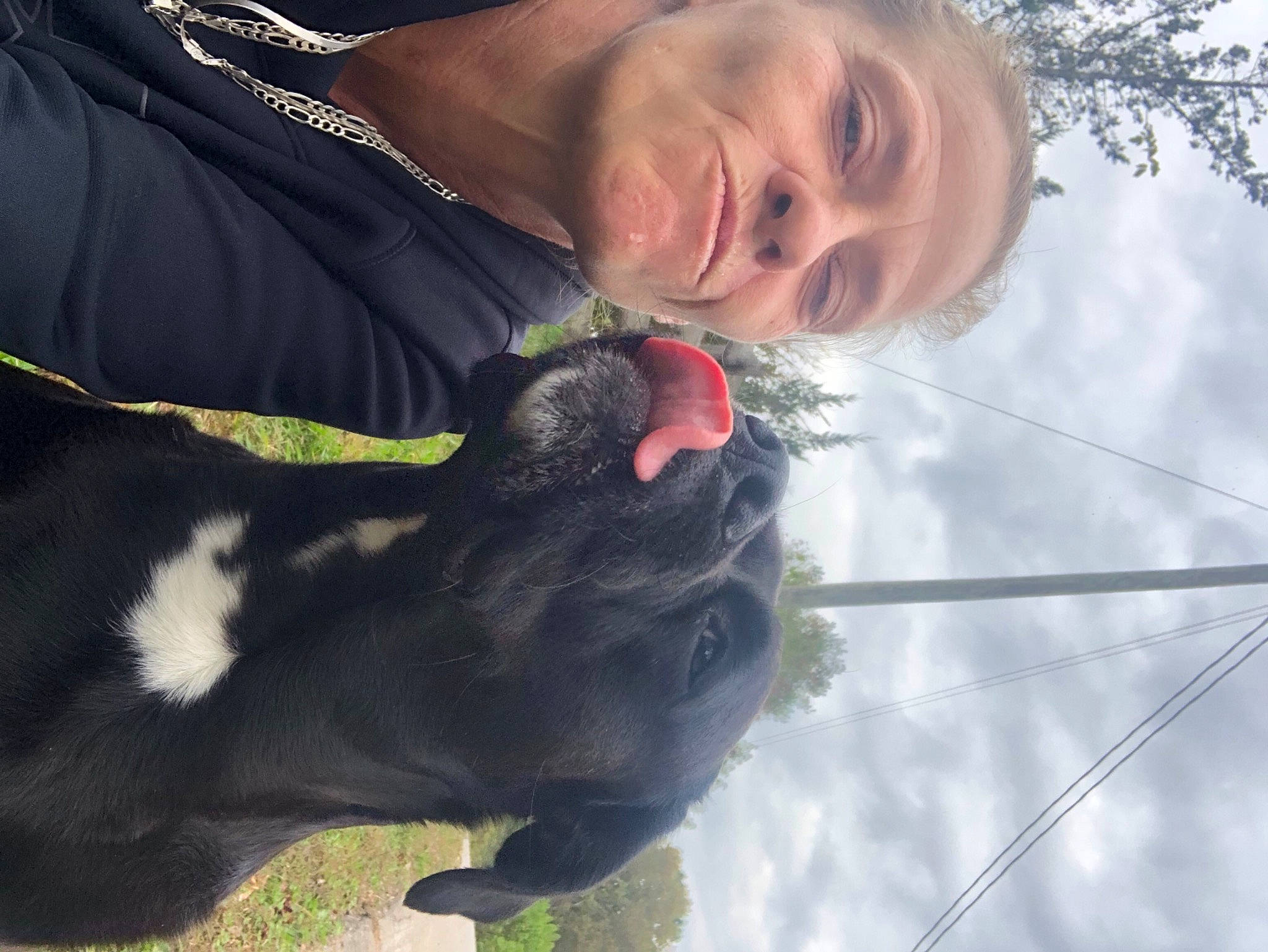 Bash is registered to the contest to win money with this photo: adventure, canidae, carnivore, collar, companion_dog, dog, dog_breed, dog_collar, eyewear, fun, fur, gesture, guard_dog, jewellery, leash, recreation, sky, snout, sporting_group, tree