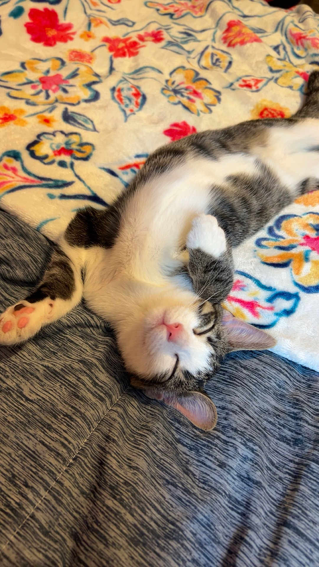 Ellie