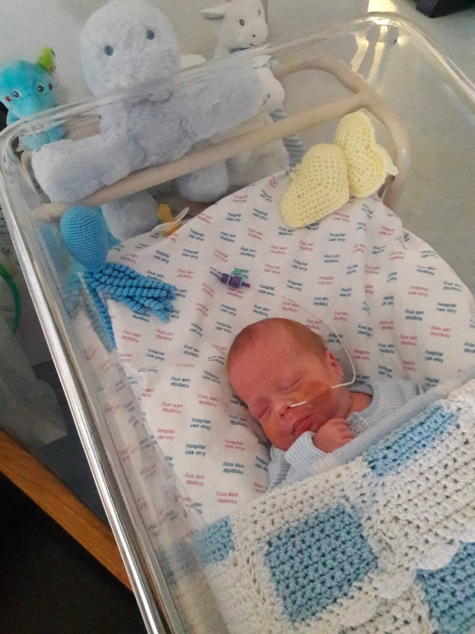 Leo James joined the competition — help win amazing prizes! baby, baby_products, baby_safety, baby_toys, bed_sheet, bedding, bedtime, child, comfort, infant_bed, linens, pattern, person, product, room, sleep, stuffed_toy, textile, toddler, toy