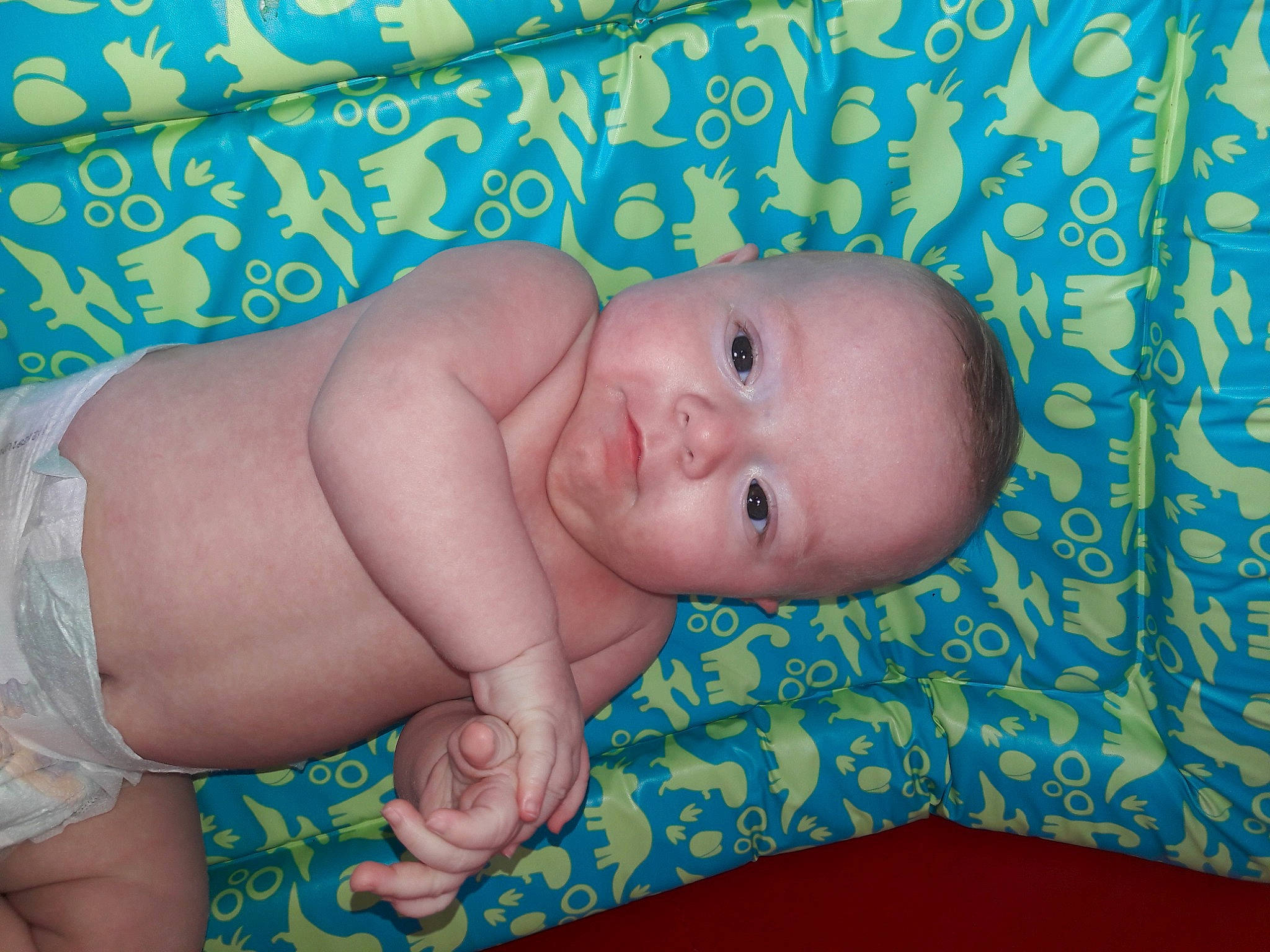 Leo James joined the competition — help win amazing prizes! aqua, arm, azure, baby, baby_toddler_clothing, blue, cheek, child, eye, face, finger, grass, head, iris, mouth, person, product, skin, textile, thumb