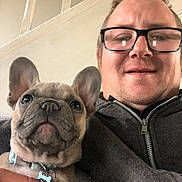 Oscar Cotton is registered to the contest to win money with this photo: casual_clothing, closeup, collar, cute, dog, face, french_bulldog, glasses, hand, indoor, man, person, pet, portrait, puppy, smile, staircase, wall, young_adult, zipper