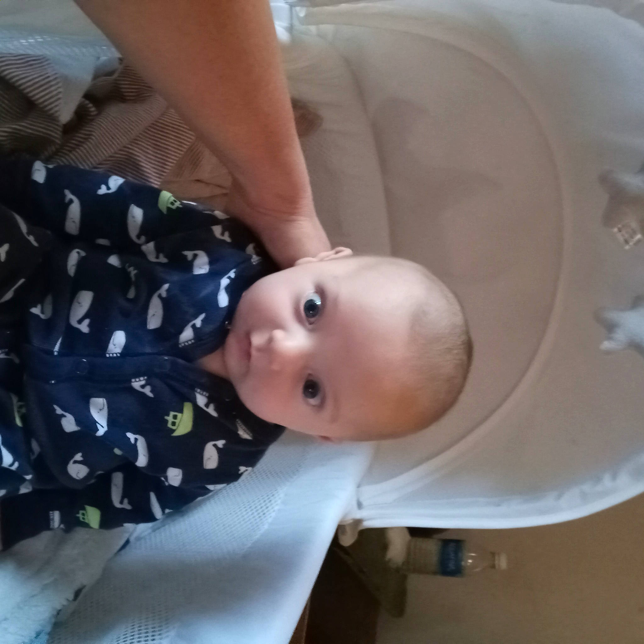 Jacob joined the competition — help win amazing prizes! baby, baby_products, baby_safety, baby_toddler_clothing, cheek, child, comfort, pattern, person, product, sitting, sleeve, smile, toddler