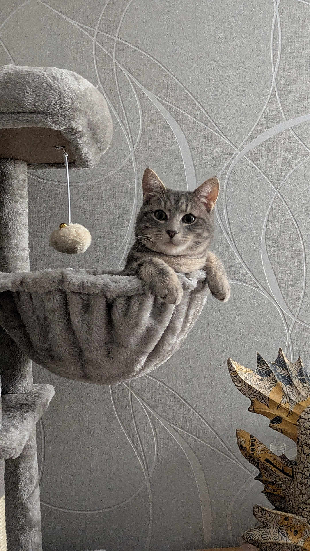 Simba a rejoint le concours — aidez-le/la à gagner de superbes lots ! cat, gray_tabby, cat_tree, plush, hanging_basket, toy, indoor, decor, wall_pattern, furniture, curious, pet, animal, resting, cozy, cute, feline, playful, wooden_sculpture, relaxed