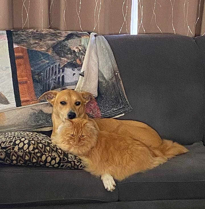 Pumpkin