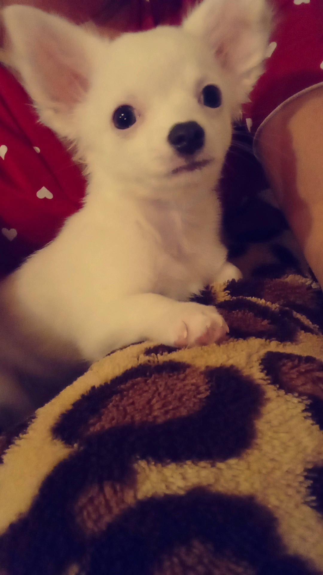 Tiana