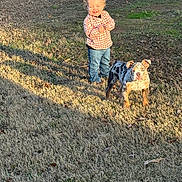 Mr.rubble is registered to the contest to win money with this photo: toddler, child, dog, puppy, merle, grass, outdoor, sunlight, happy, smiling, curly_hair, casual_clothing, nature, daylight, playful, pet, young_child, animal, sunshine, park